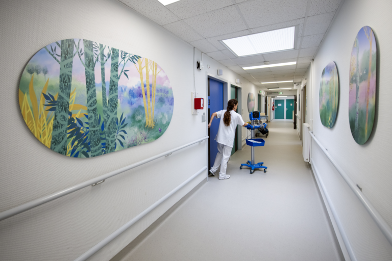 Art mural CHU d'Angers