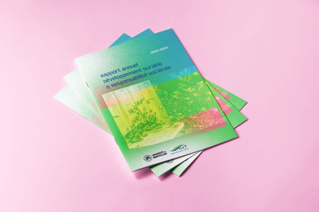 Graphisme de brochure DDRS de l'IUT Montpellier-Sète